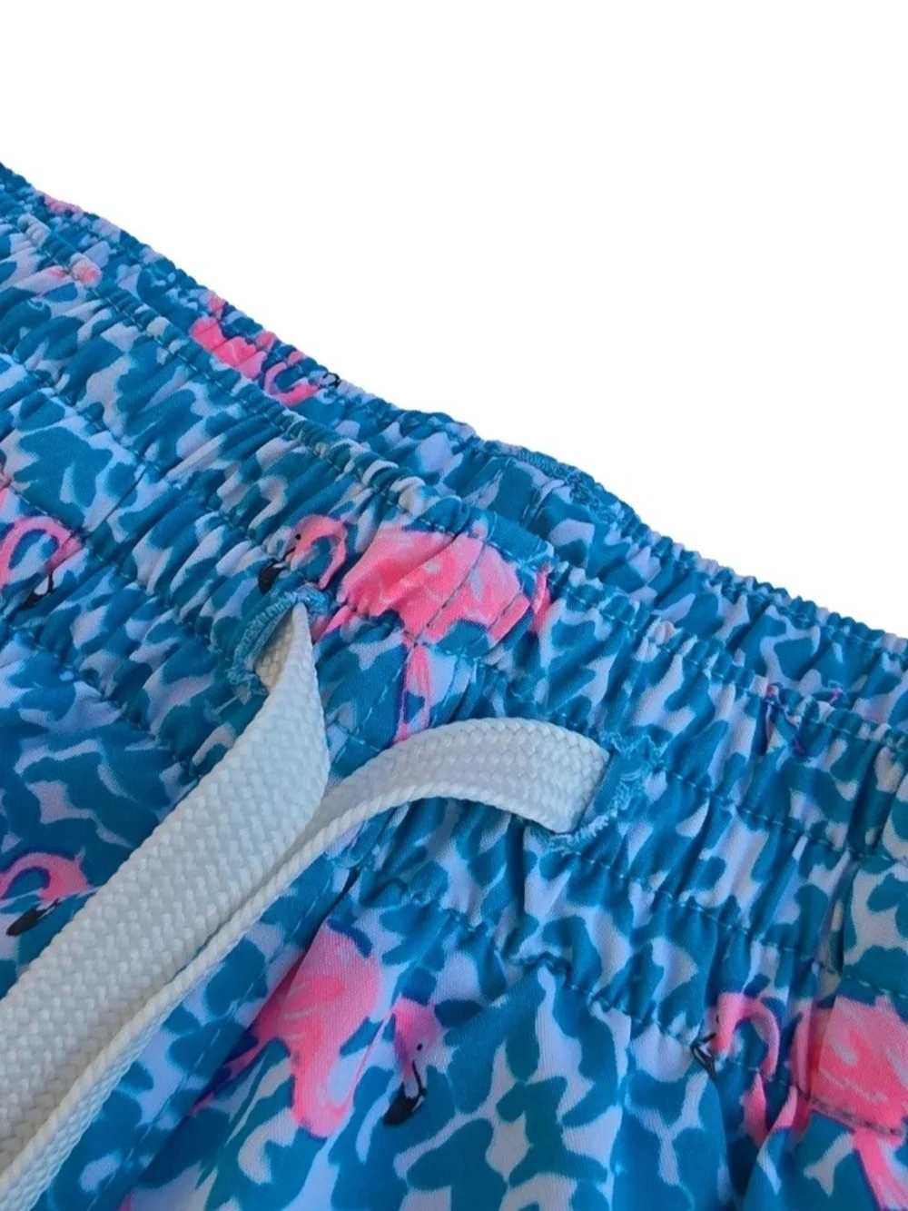 Chubbies Mens Classic 5.5